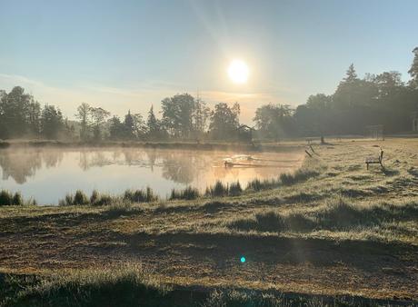 Wildnis-Camp – Natur tanken & Tiere erleben (Wochenende)