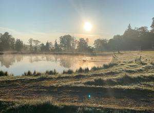 Wildnis-Camp – Natur tanken & Tiere erleben (Wochenende)