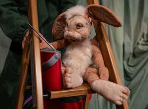 Hasen pfeifen nicht | Nicole Gospodarek