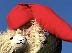 Wenn das Schaf nicht schläft