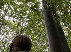 Wurzelstimmen und Blattgeflüster