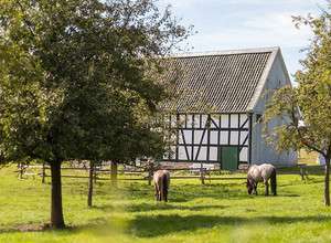 Geschichte, Kultur und Natur erleben! LVR‑Freilichtmuseum Lindlar