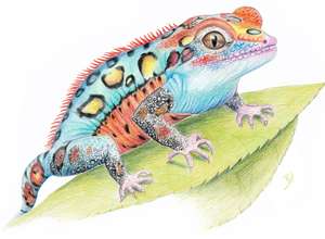 Sommersemester – Realistisches Zeichnen freitags