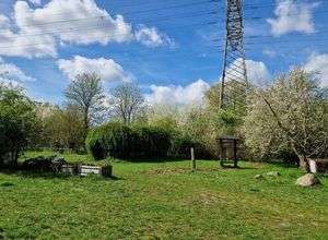 Aktionen, Erlebnisse, Exkursionen zu Natur und Artenschutz