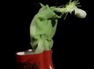 Als der kleine Koriander kam