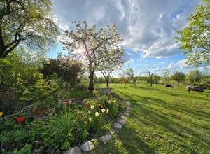 Freizeithof Tigermotte