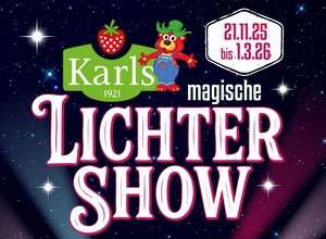 Magische Lichtershow in Döbeln, Mittelsachsen✨🌙