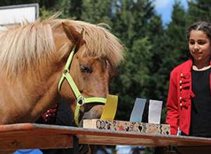 Reiterferien 1 - 2026