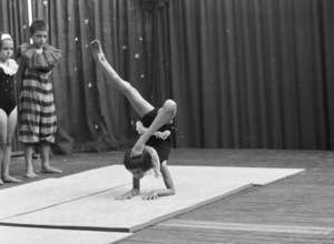 Akrobatik und Partnerakrobatik, Anfänger:in/mit Erfahrung