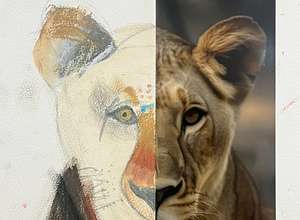 Zeichnen lernen für Kinder ab 7 Jahren