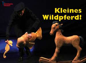 Kleines Wildpferd!