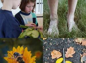 Was reden die Tiere, was faselt das Gras?