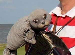 Der Seehund, der die Nixe austrickste Theaterstück