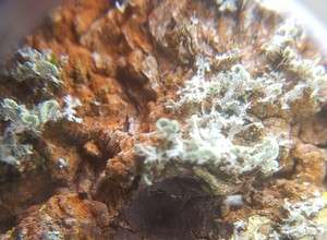 Drop-In-Workshop für Kinder und Erwachsene mit Merle Richter