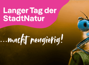 Langer Tag der StadtNatur 2026