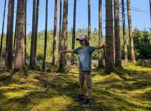 Die Geheime Welt der Bäume - Abenteuer Jahreszeit