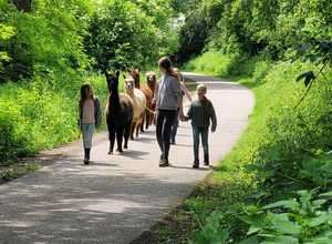 Ferienbetreuung auf dem Bauernhof