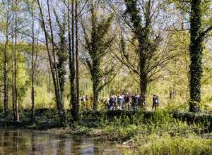 Waldwunder im Plänterwald - Spaziergang mit Carola Fabian