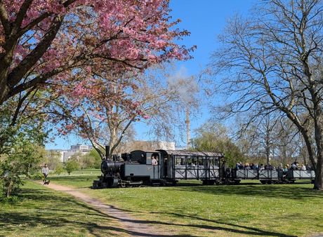 Frühlings-Fahrtag im Frankfurter Feldbahnmuseum