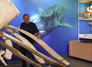 Abenteuer Präparation – Ein Nachmittag mit Matthias Preuß