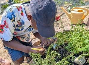 Wir bauen Hochbeete - Abenteuer Jahreszeiten