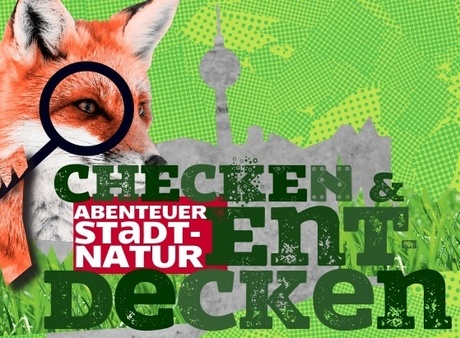Checken & Entdecken