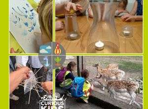 Ferienkurs: Wir forschen: Die 4 Elemente