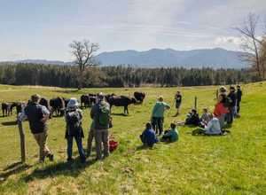 Frühlingsfest in Nantesbuch