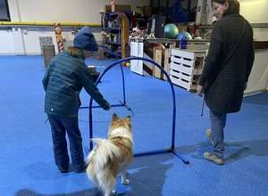 Begegnung mit Schulhund – ein besonderes Erlebnis für Kinder