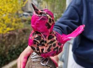 Zweitägiger Kunst-Osterferienworkshop