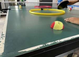 Alles Volley, oder was? Tischtennis - Badminton - Tennis