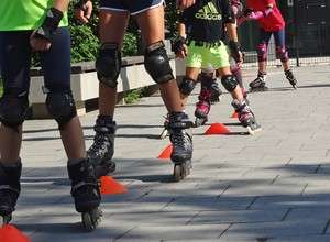 Alles, was fliegt, rollt & hopst