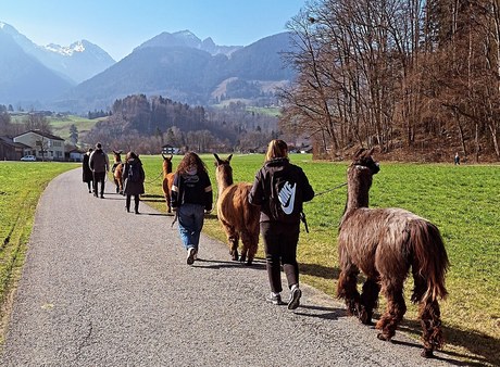 Lama Tour