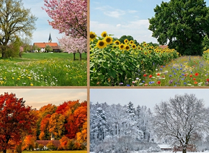 BABYKONZERT "Leo Löwe und die vier Jahreszeiten"