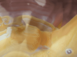 Der Zauber der Gebärdensprache – Die Ausstellung