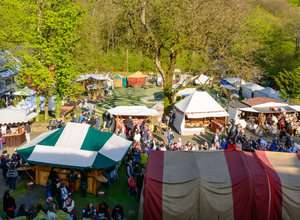 Mittelalterlicher Markt Schloss Homburg