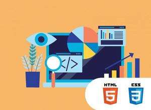 Junior Website-Entwickler (Programmierkurs mit 5 Lektionen) 