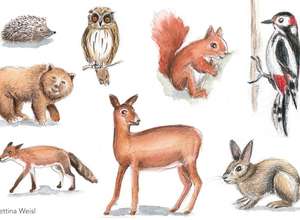 Kinder mit Eltern - Waldtiere mit Aquarellstiften