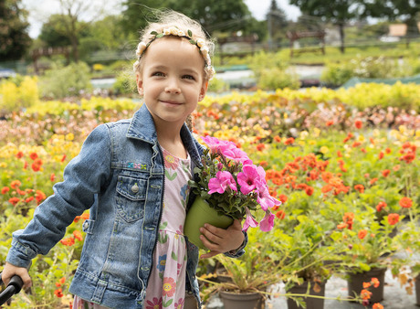 „Späth'er Frühling“ im Blütenmeer