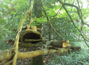 Sommerferienwerkstatt 2026 KUNST und WALD