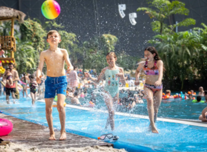 Tropical Camp - auf deutsch oder englisch