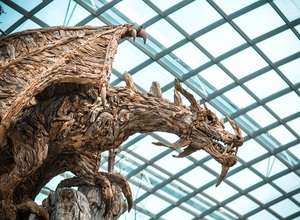 Fangdorn Drachenshow