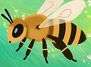 Bienen-Nachmittag mit der Deutschen Wildtier Stiftung