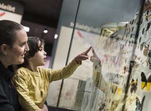 Vielfalt im Fokus: Erlebnisstand zum Tag der Artenvielfalt