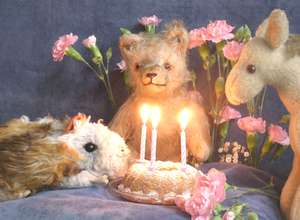 Kuscheltiertheater auf dem Grünen Sofa: 'Burtstag!