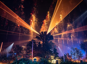 FOREST SEASONS - DARK MATTER Berlin