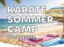 Karate Sommercamp