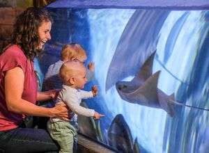 SEA LIFE Aquarium Hannover