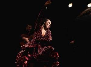 Die Welt des Flamenco