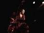Die Welt des Flamenco